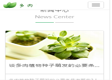 
企业官网模板4